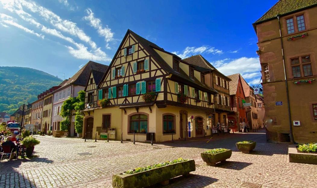 Coeur D'Alsace Daire Kaysersberg-Vignoble Dış mekan fotoğraf