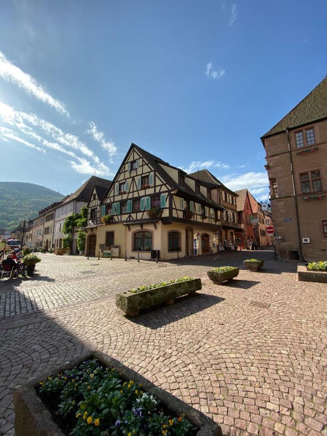 Coeur D'Alsace Daire Kaysersberg-Vignoble Dış mekan fotoğraf