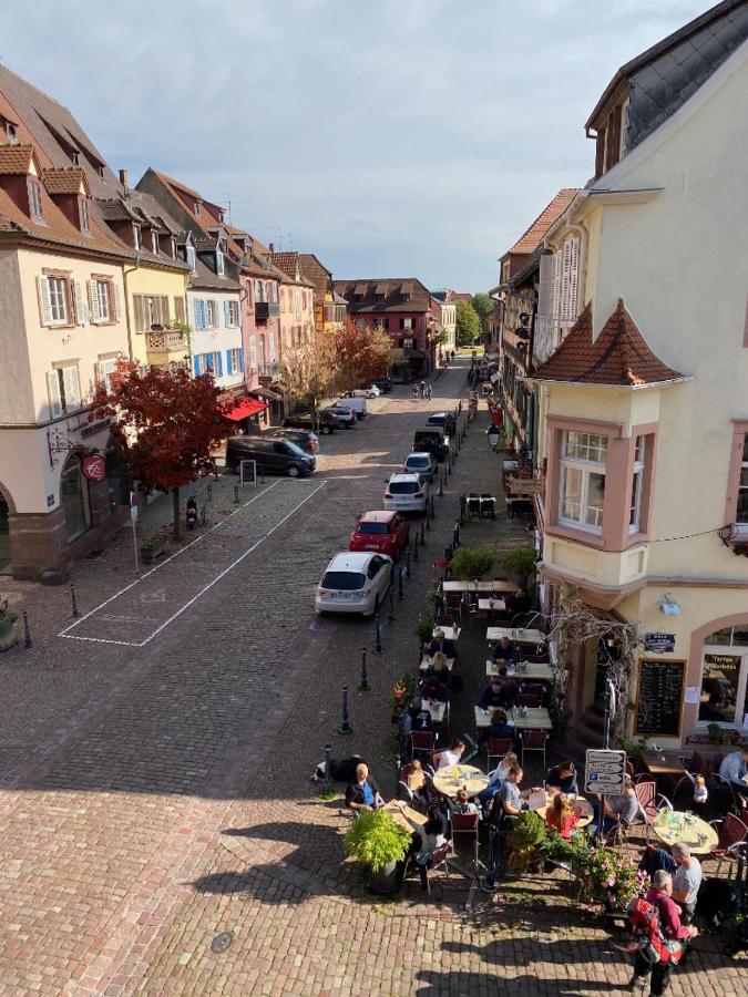 Coeur D'Alsace Daire Kaysersberg-Vignoble Dış mekan fotoğraf