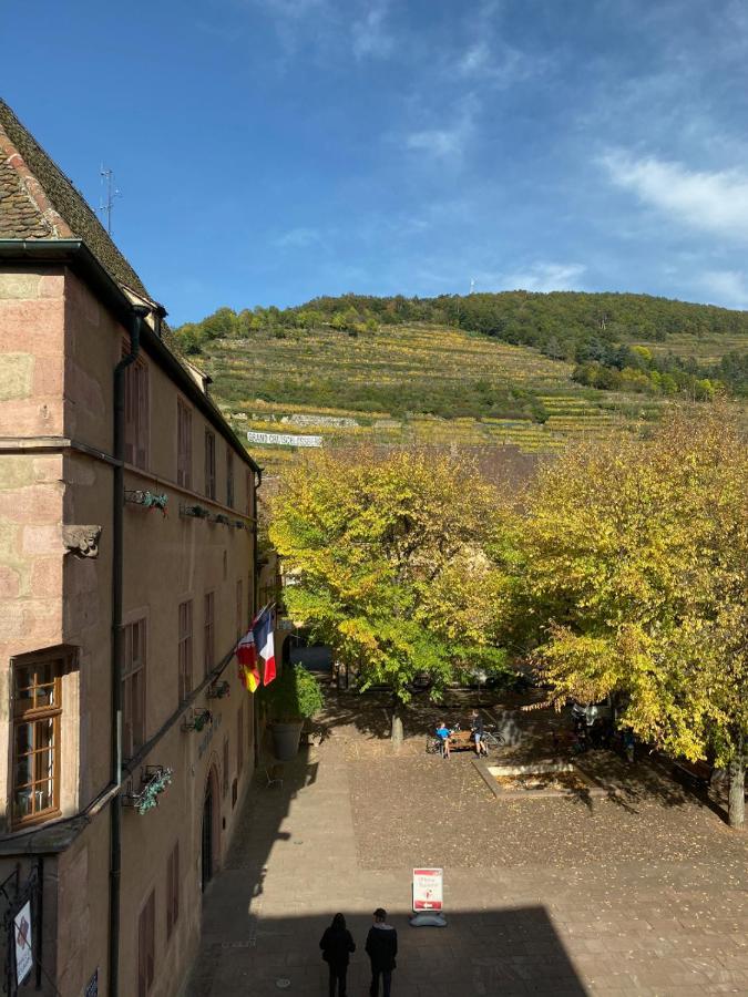 Coeur D'Alsace Daire Kaysersberg-Vignoble Dış mekan fotoğraf